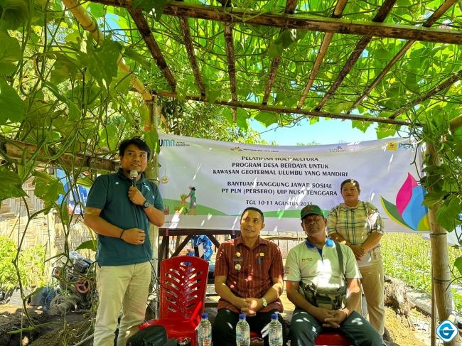 Program Desa Berdaya, PLN UIP Nusra Gelar Pelatihan Hortikultura di NTT