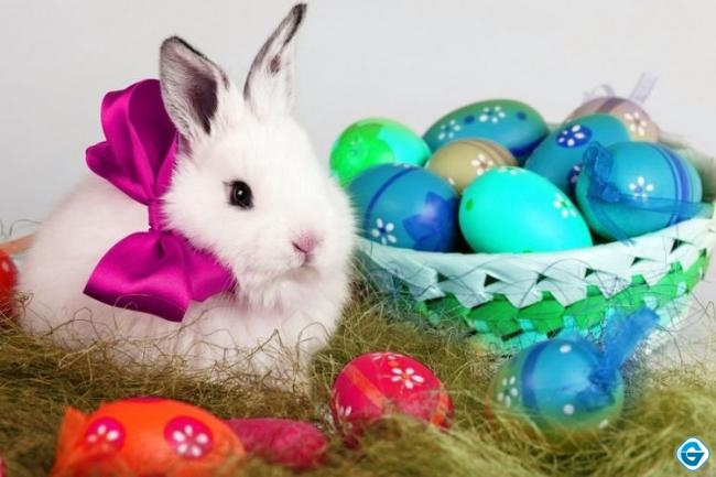 Hari Raya Paskah Selalu Identik dengan Telur dan Kelinci, Apa Maknanya?