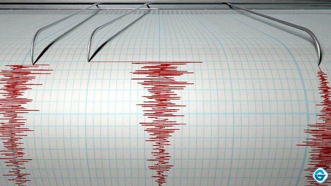 Gempa Bumi M 5,5 Guncang Maluku Tenggara