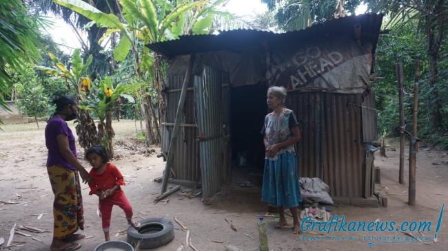Hidup Sebatang Kara Tinggal di Gubuk Reyot, Nengah Rindi Warga Desa Golong Butuh Bantuan Pemerintah