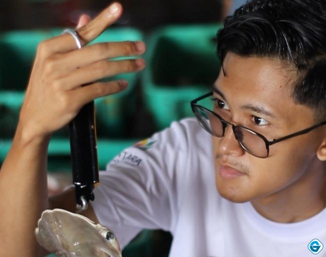 Pemuda Banyuwangi Ciptakan Aplikasi AI untuk Identifikasi Hiu, Masuk Finalis Nasional SATU Indonesia Awards 2025