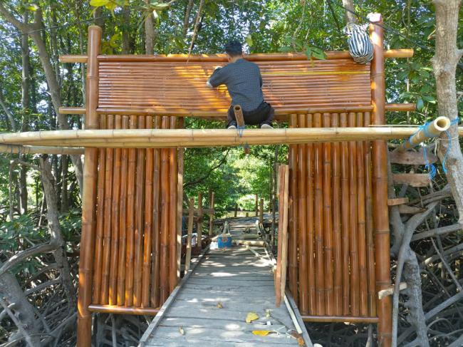 PLN UIP Nusra Renovasi Jalur Trekking Ekowisata Mangrove Desa Padak Guar, Dorong Potensi Wisata di Sekitar Pembangkit