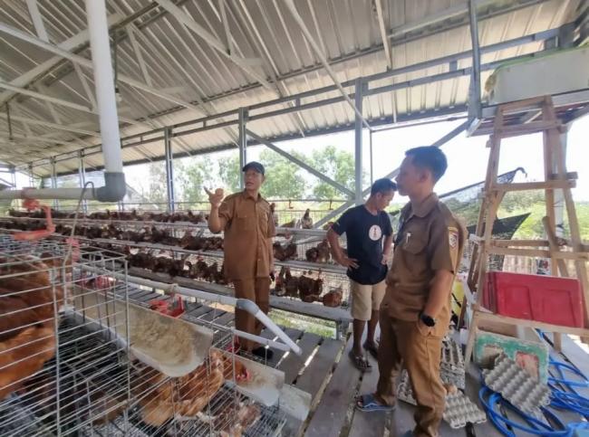 Program Desa Berdaya Iqbal-Dinda Sukses Dorong Kemandirian Lewat Usaha Peternakan