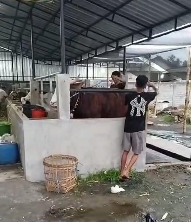 Program Desa Berdaya Iqbal-Dinda Sukses Dorong Kemandirian Lewat Usaha Peternakan